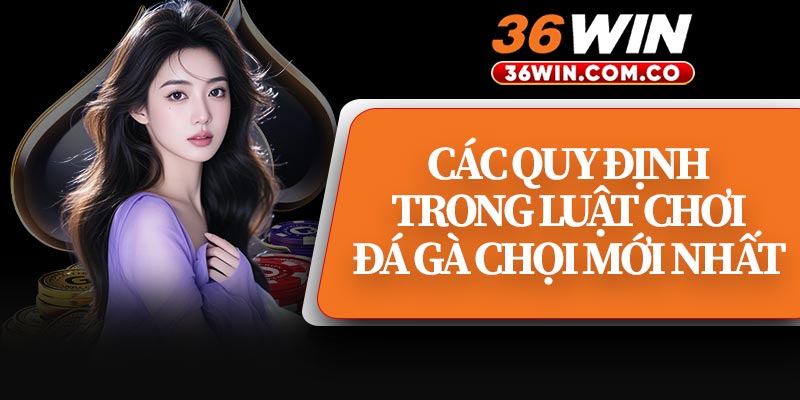 Các Quy Định Trong Luật Chơi Đá Gà Chọi Mới Nhất