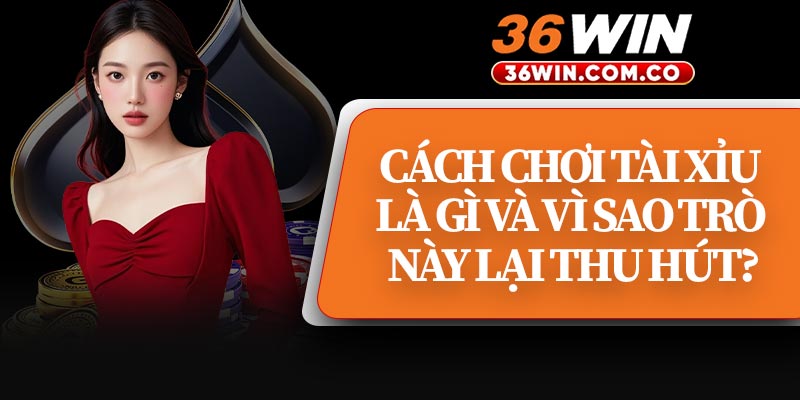 Cách Chơi Tài Xỉu Là Gì Và Vì Sao Trò Này Lại Thu Hút?