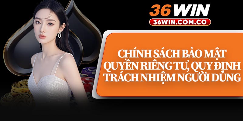Chính Sách Bảo Mật Quyền Riêng Tư, Quy Định Trách Nhiệm Người Dùng