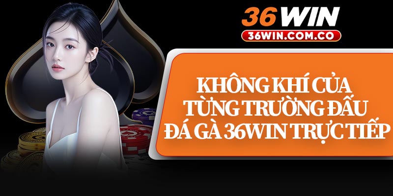 Không Khí Của Từng Trường Đấu Đá Gà 36WIN Trực Tiếp