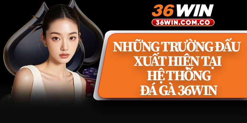 Những Trường Đấu Xuất Hiện Tại Hệ Thống Đá Gà 36WIN